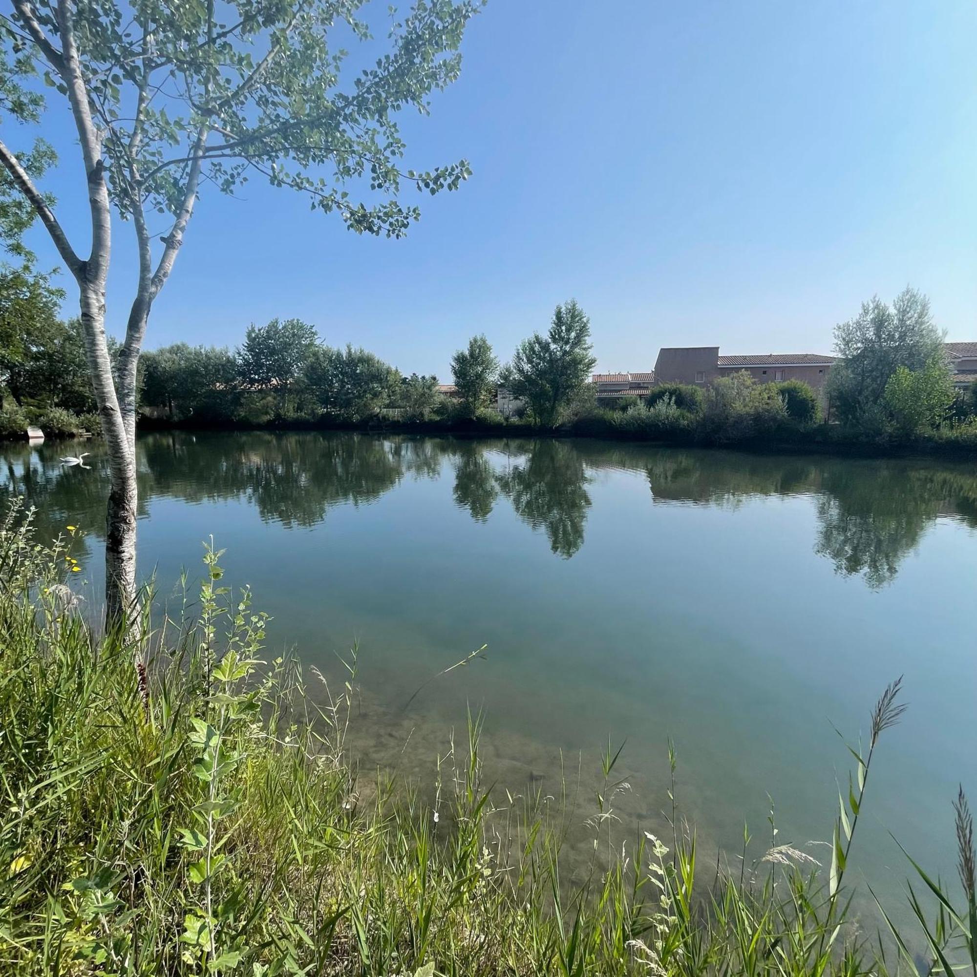 Maison Plain Pied Avec Climatisation Dans Une Residence Privee Avec Piscine Saint-Saturnin-lès-Avignon المظهر الخارجي الصورة